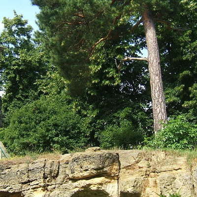 Das Belvedere im Landschaftspark Spiegelsberge (Foto: Gartenträume e. V.)