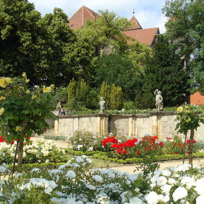 Rosengarten auf dem Schlossberg Quedlinburg (Foto: Stadt Quedlinburg, Kai Wiebensohn)